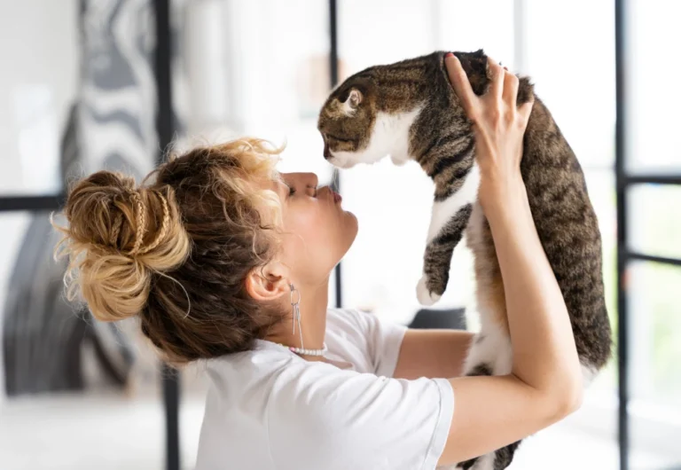 best pet surveillance camera