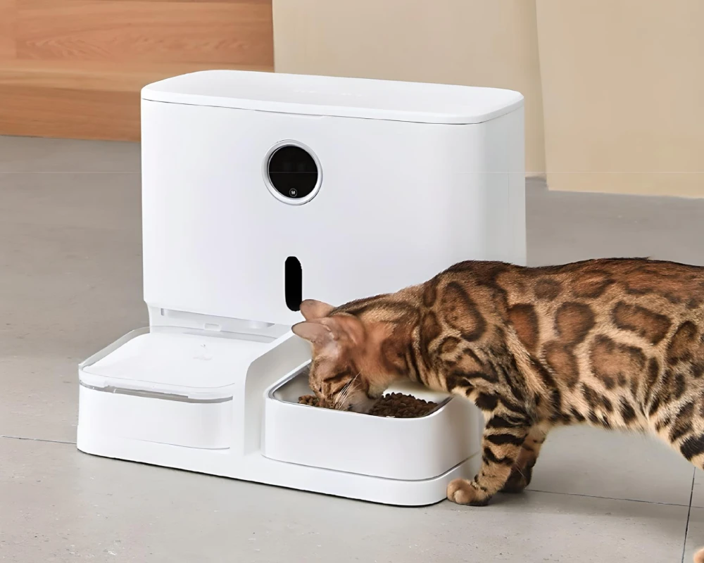 automatic pet bowl feeder