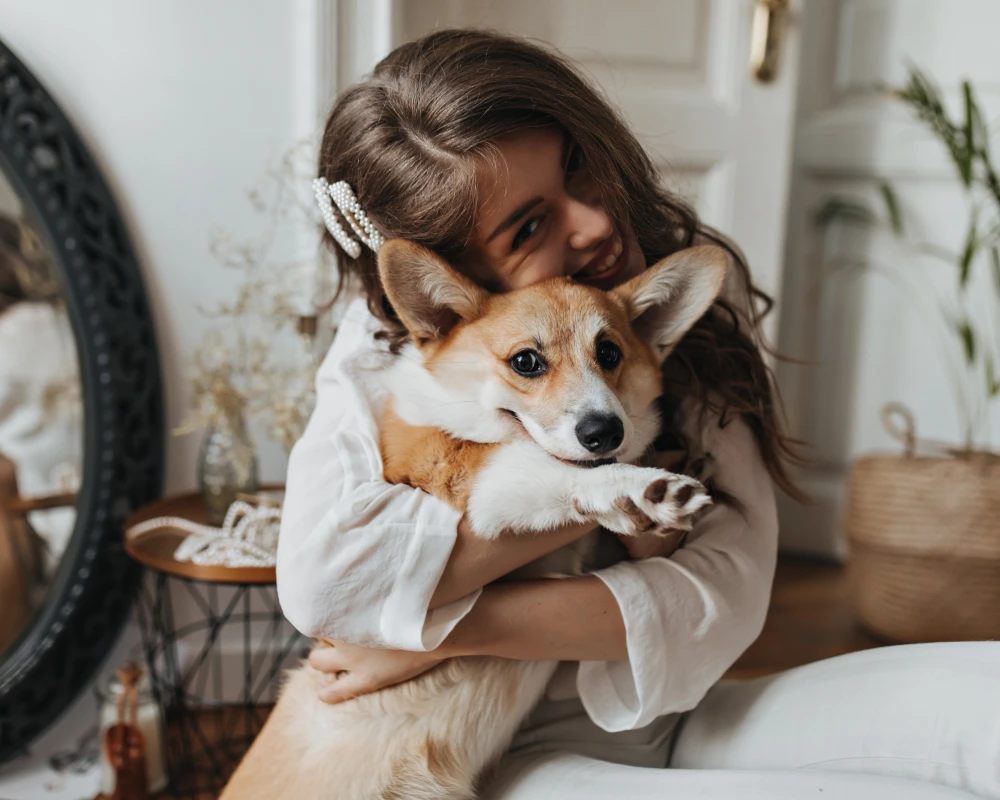 automatic pet feeder for two cats